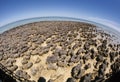 Stromatolite Royalty Free Stock Photo